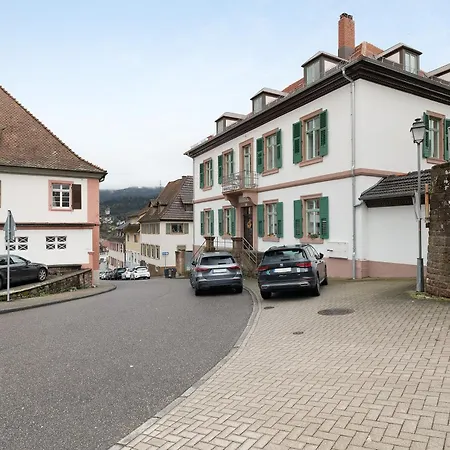 Apartament Wolkensteiner Hof *